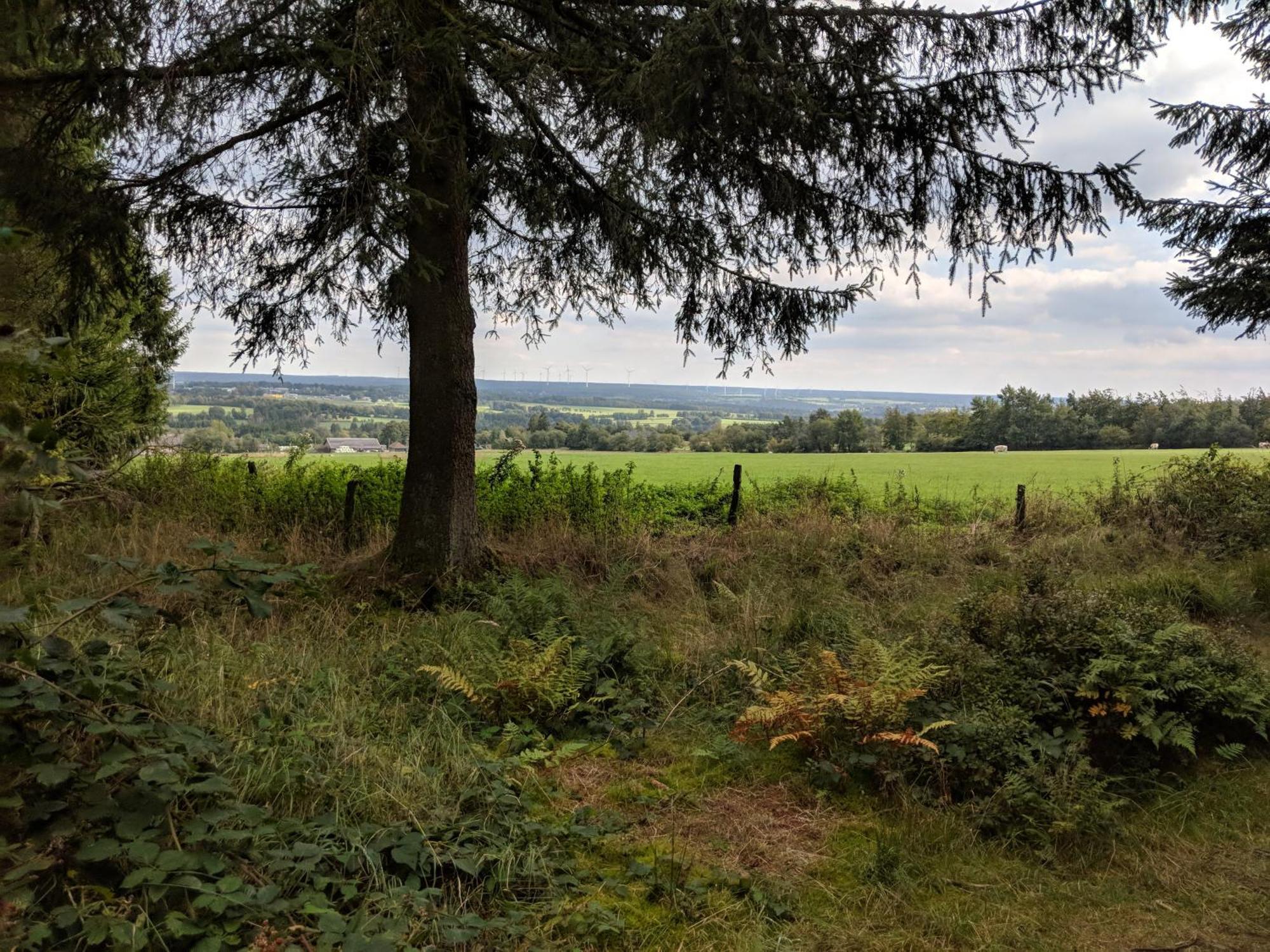Victorhof Landurlaub Deine Auszeit Im Gruenen, Umgeben Von Wald & Wiesen Monschau Kültér fotó